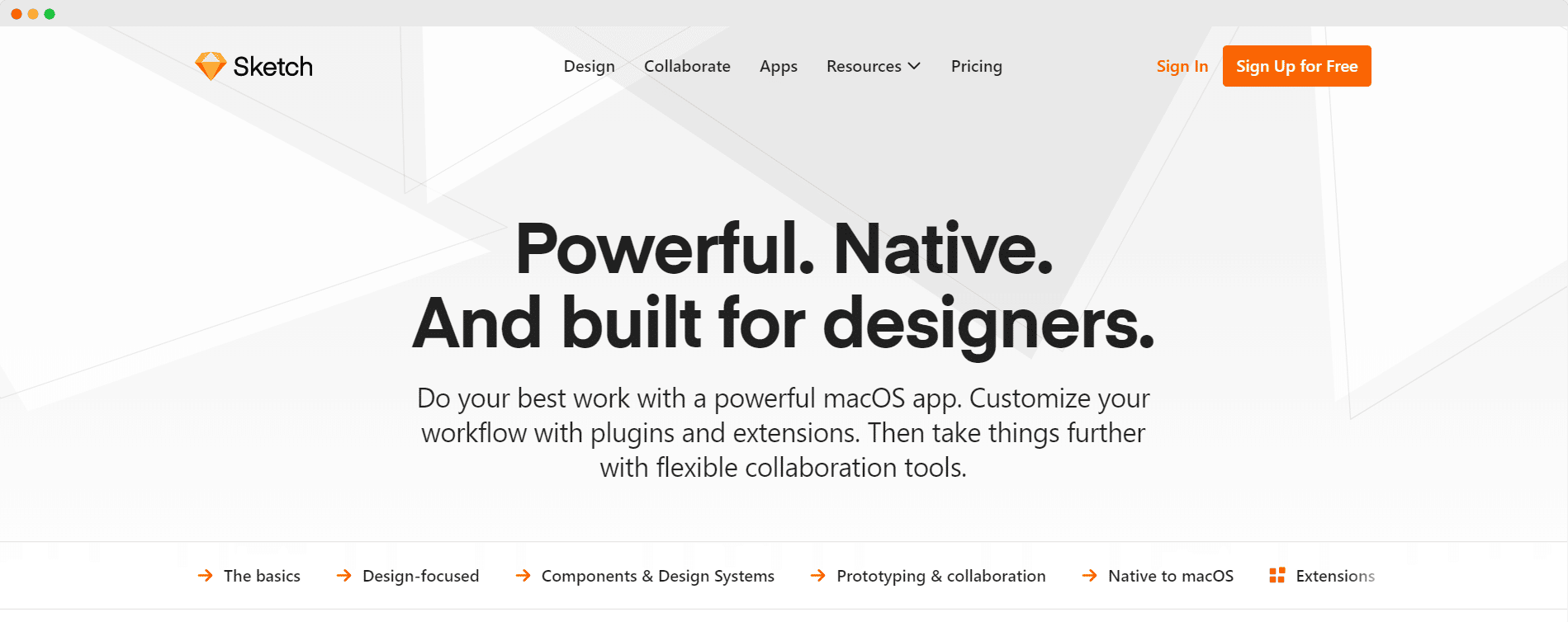 Graphic Design Software Options