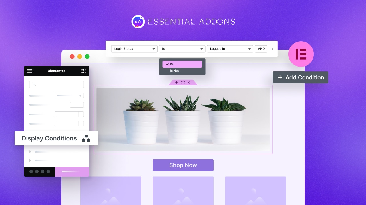 Elementor Display Condition