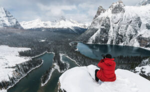 Filterable Gallery for Elementor 11 Filterable Gallery for Elementor 11