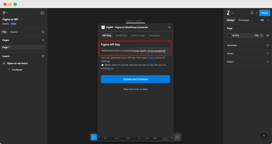 Paste the API key in the plugin