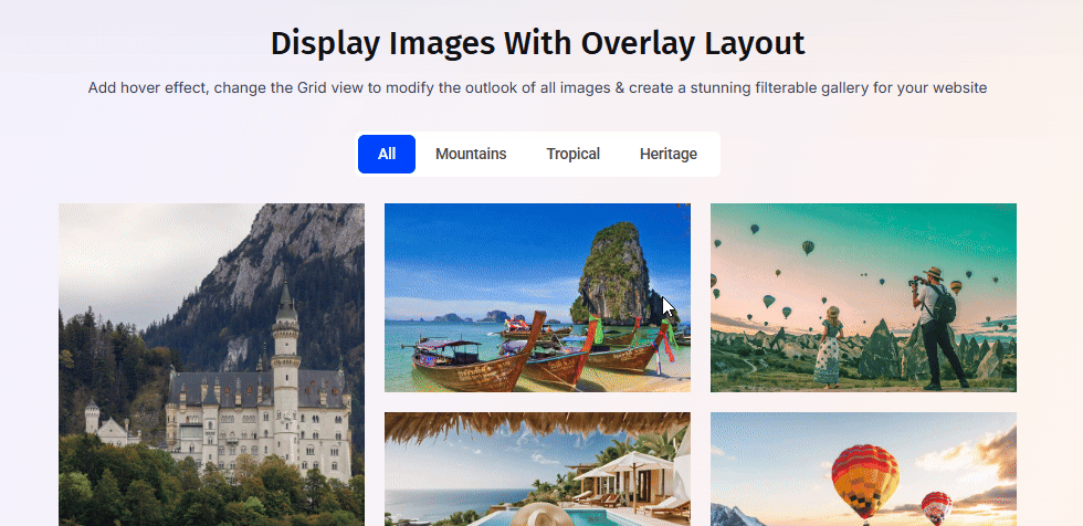 Filterable Gallery by Essential Addons