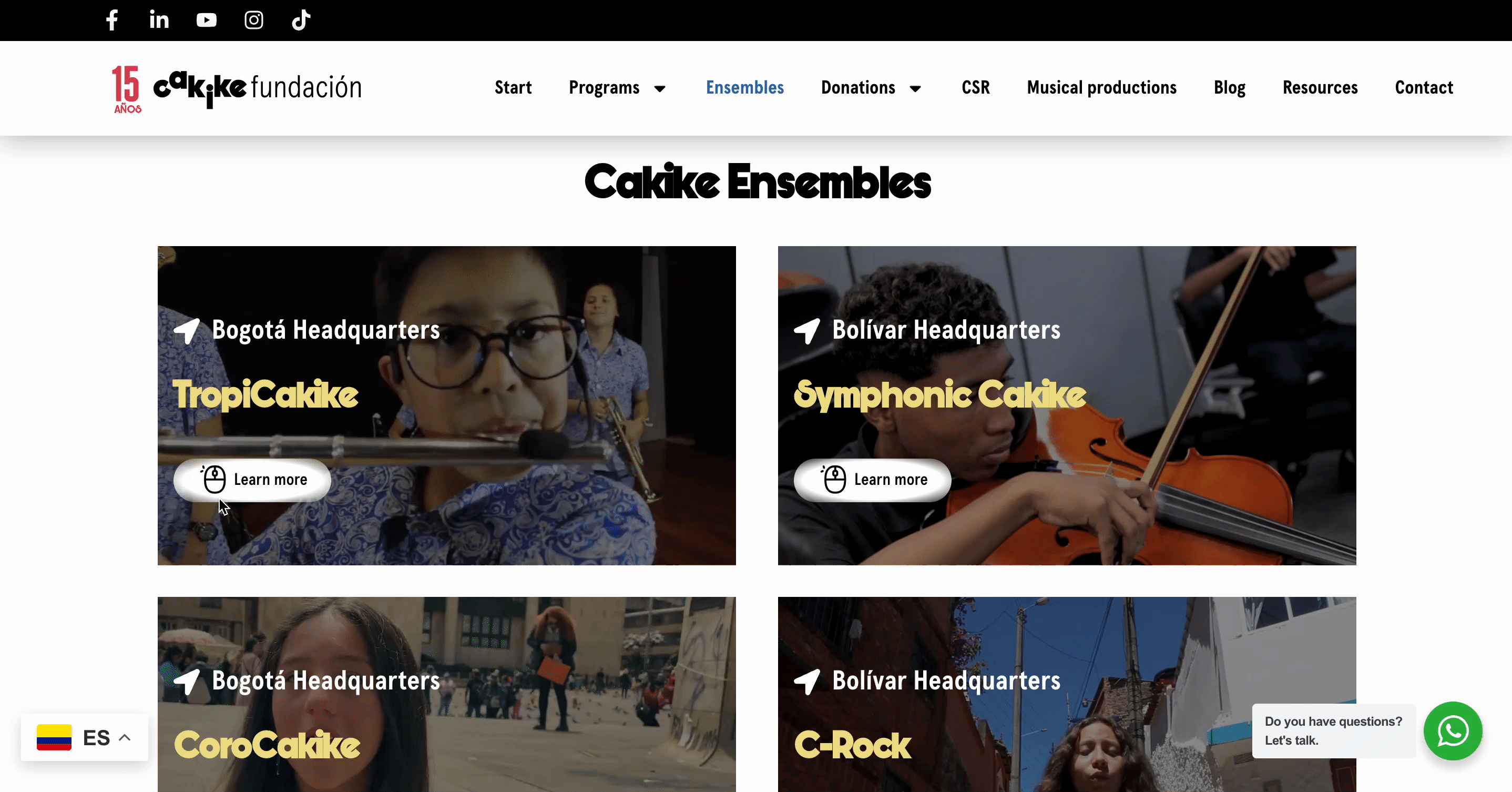 20+ Elementor Website Examples Built with Essential Addons 18 Cakike - Music Driven Organization