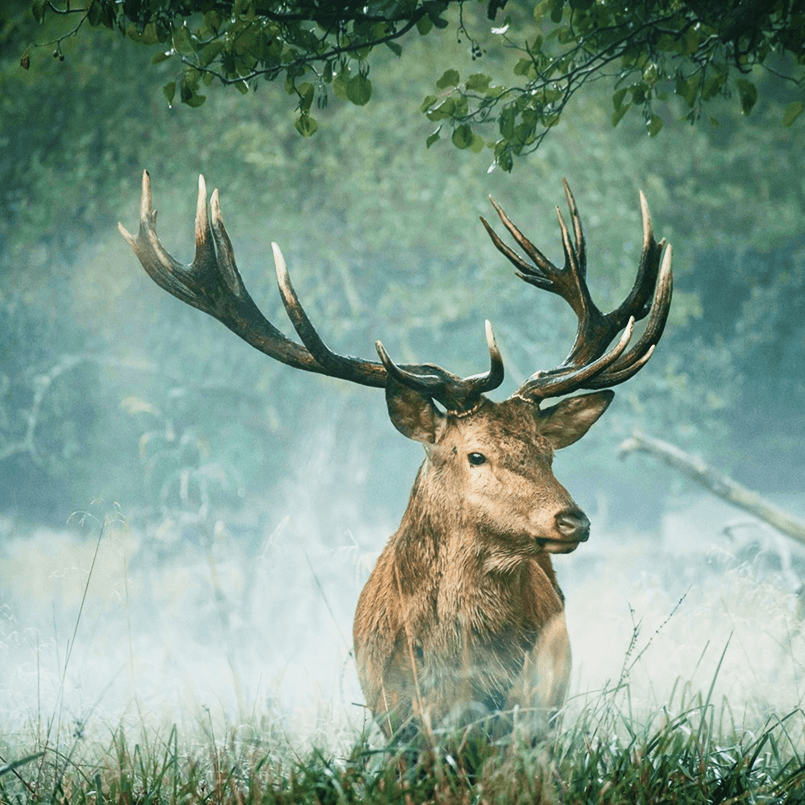 Image Masking With Morphing 14 Image Masking With Morphing 14