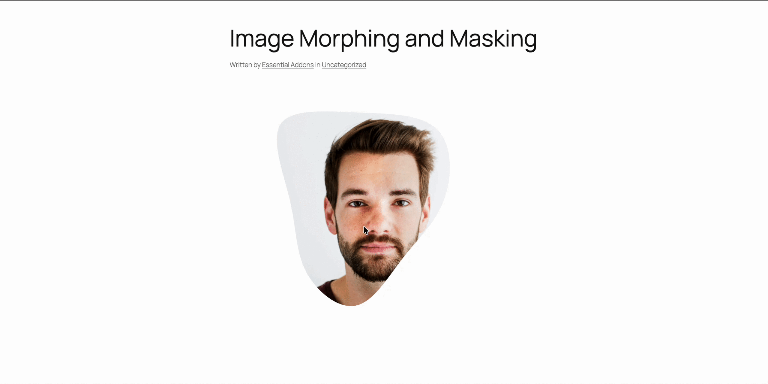 How to Mask And Morph Images in Elementor Website? 9 Final outcome of Masking and Morphing